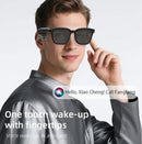 AI SUNGLASS (Model: IQK2 Item