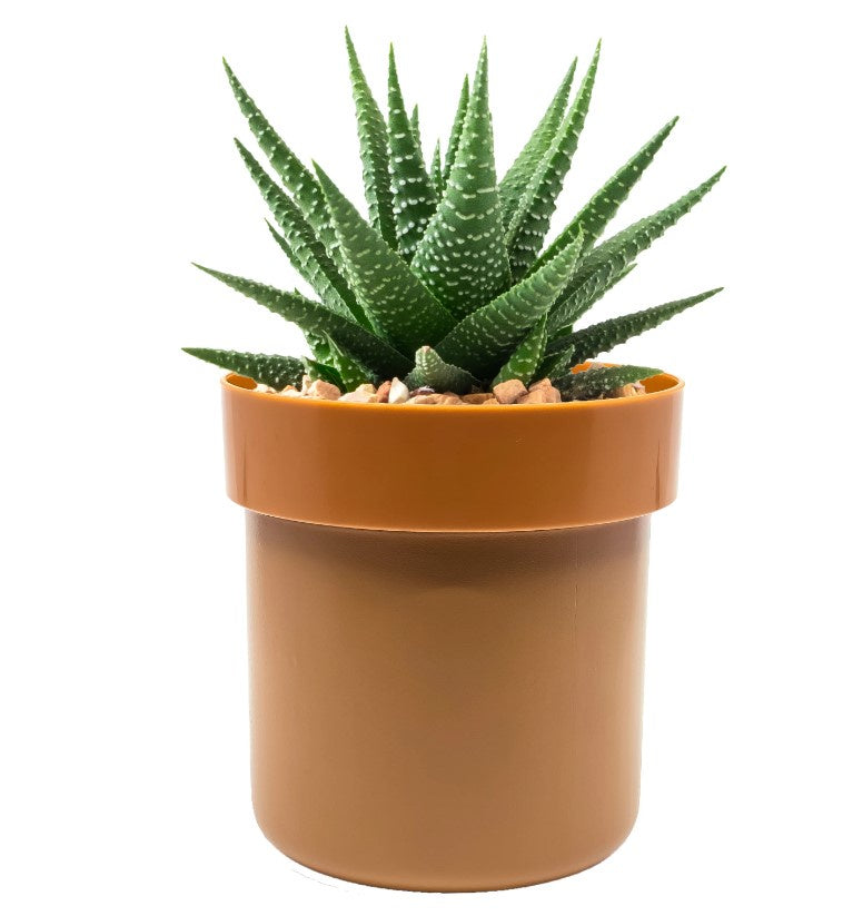 Safe Flowerpot (Model: IQSAFDSPLANTC Item#10156)