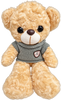 Wi-Fi Toy Muppet Bear Camera (Model: IQWFBR53 Item#003204)
