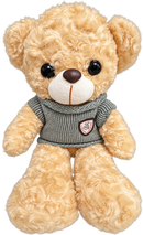 Wi-Fi Toy Muppet Bear Camera (Model: IQWFBR53 Item