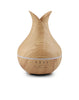 DIFFUSER WIFI CAMERA WITH BUILT-IN 32 GB MEMORY CARD (Item# 003339)