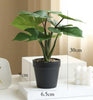 Fake Plant WIFI Camera (IQWFJH53)